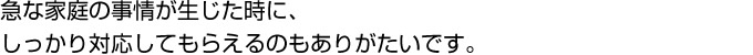 }ȉƒ̎ɁAΉĂ炦̂肪łB