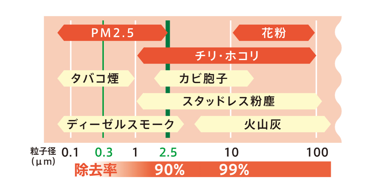 除去可能な粒子
